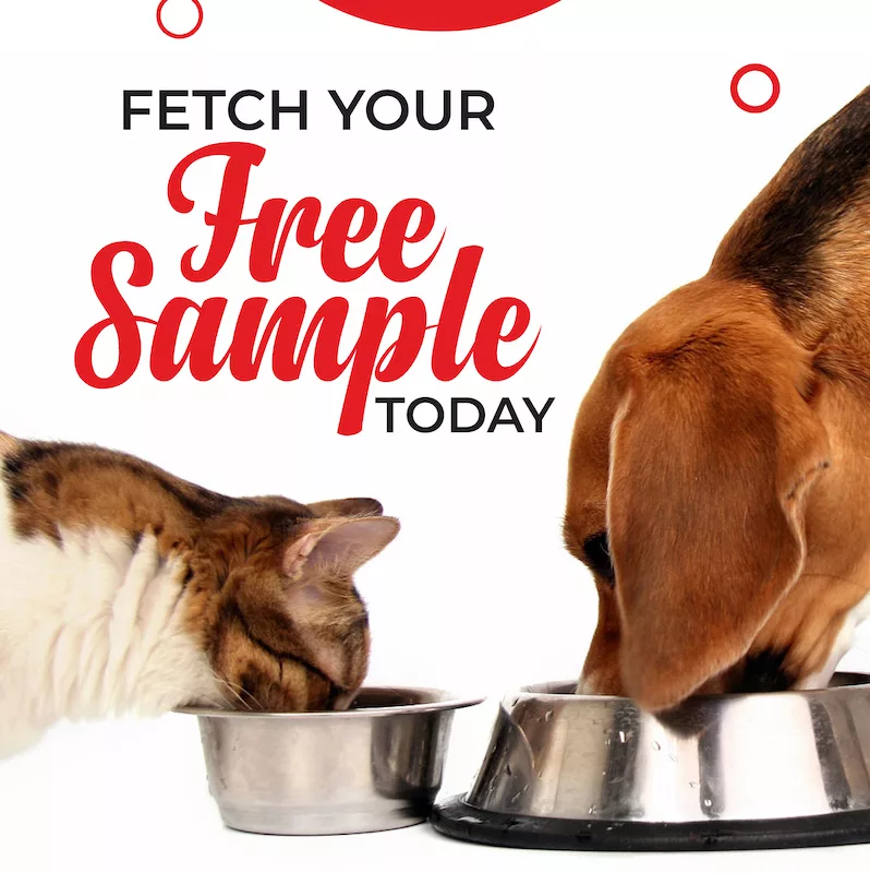 Dog Food Or Cat Food Free Sample From B2K Pet Care Singapore