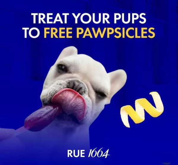 Free Pawpsicle For Dogs
