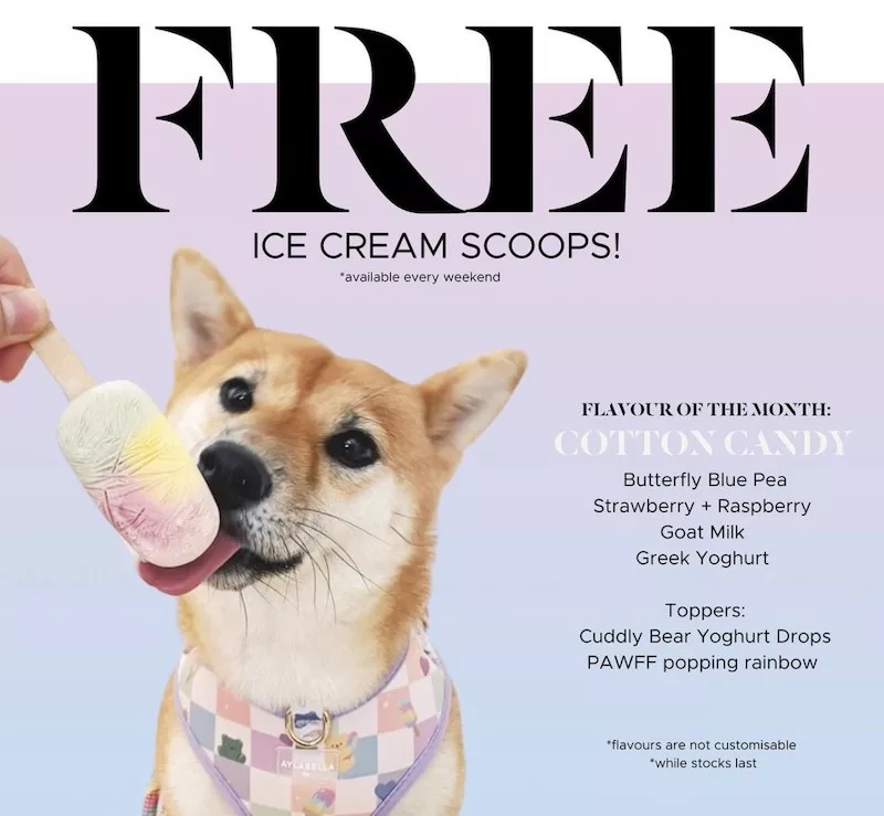 Free Ice Cream Scoops For Your Furkids Every Weekend At Licked