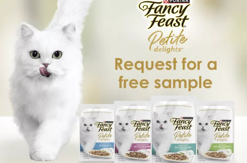 Purina Fancy Feast Petite Delights Free Cat Food Sample