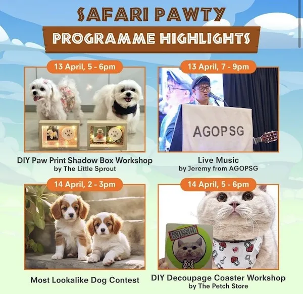 Paws In The Village Safari Pawty Programme Highlights